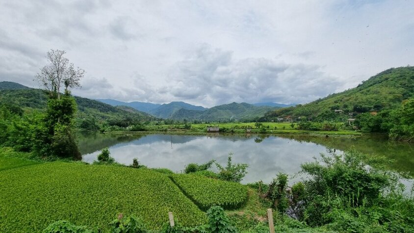 Blick über grüne Reisfelder und einen spiegelglatten See, umrahmt von sanften Bergen – eine Impression aus Jan Wengryns Reisezeit in Südostasien.