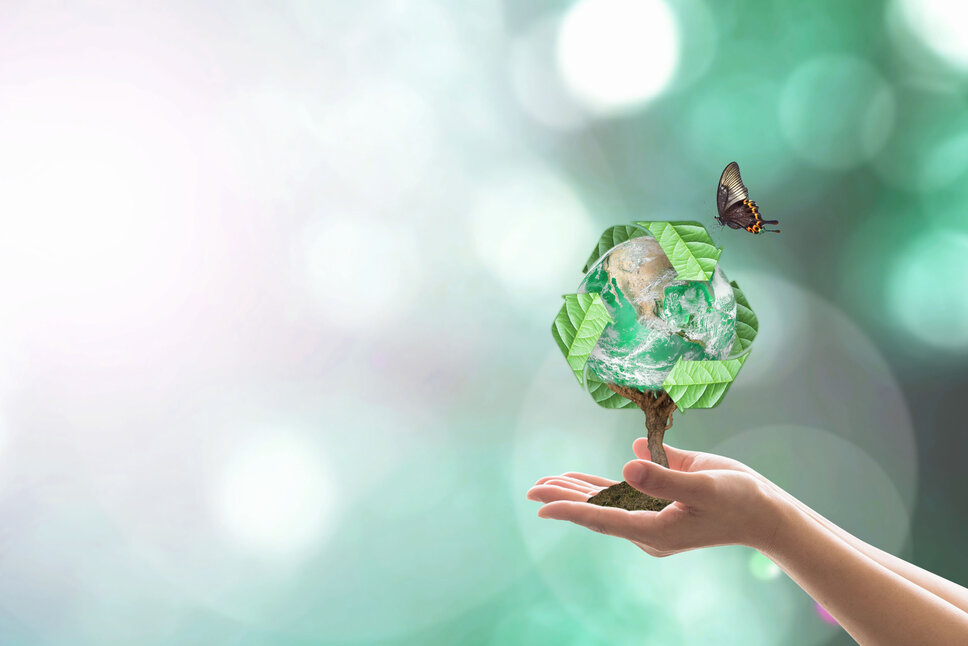 Hands hold a tree whose branches form the shape of the Earth, set against a glowing background. Above the tree, a recycling symbol is visible, while a butterfly flutters toward it, symbolizing the harmonious connection between nature and sustainability. In the business ethics of weba Werkzeugbau, this image represents the company's commitment to sustainability and environmental protection.